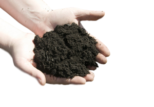 standish turf and topsoil suppliers
