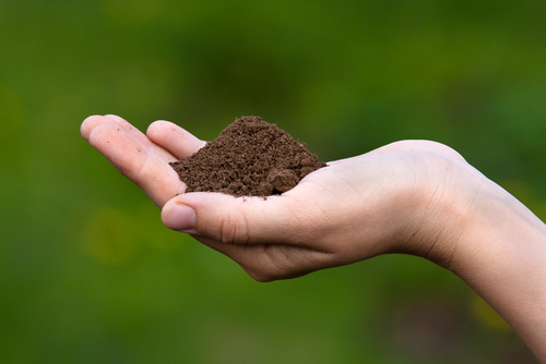 hyde topsoil suppliers